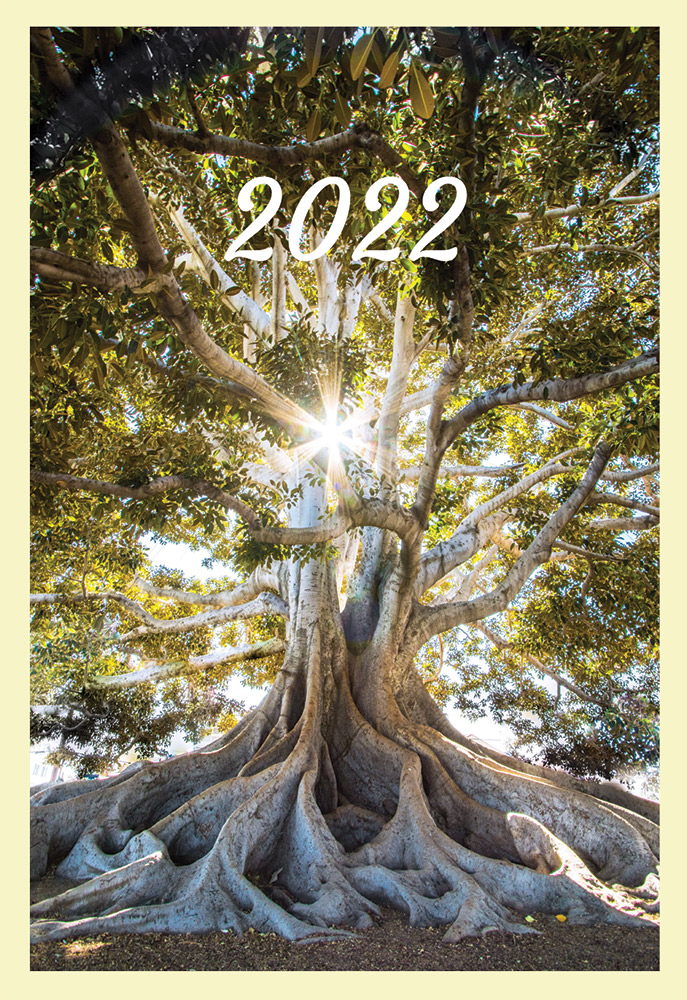 Voeux 2022 Institut Grefor