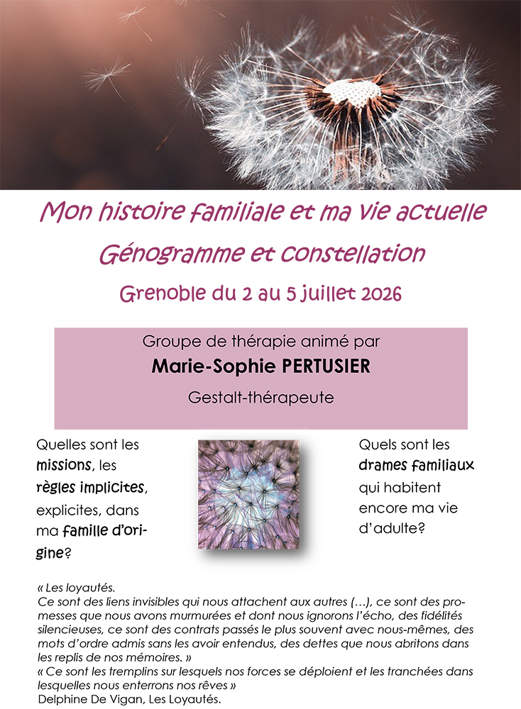 stage genogramme/constellation